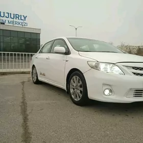 Toyota Corolla 2009