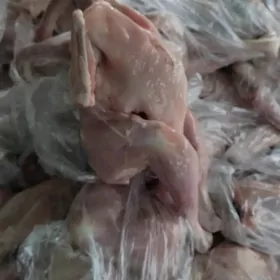 Elin jűŷje towuk horoz