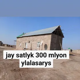 satlyk jaý sarahs kamanist oba