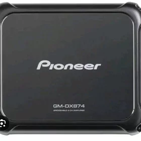 Pioneer usulitel