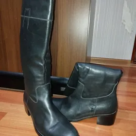 сапоги женские