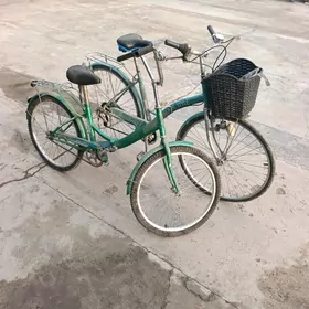 TİGİR ÝAPONSKİÝ 27 LİK