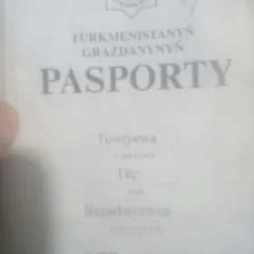 pasport yitdi