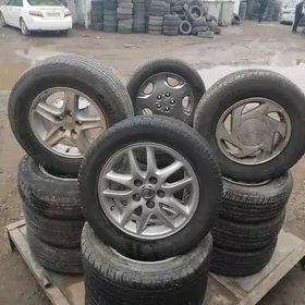 angar disgalar morda