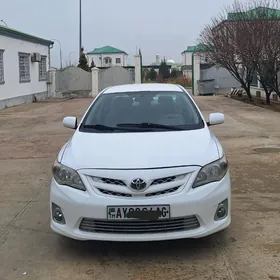 Toyota Corolla 2010