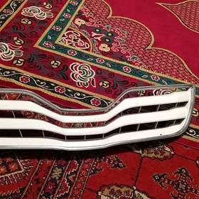 abilsofka Okuz kele Arygynal