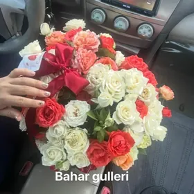 roza gul,gül,buket s