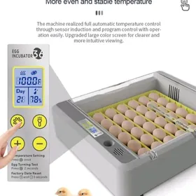 inkubator инкубатор