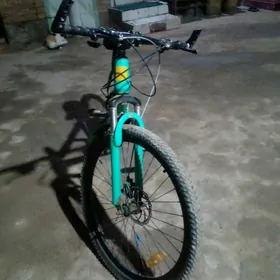 26lyk turkmenistan welik admen