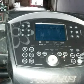 Беговая дорожка.