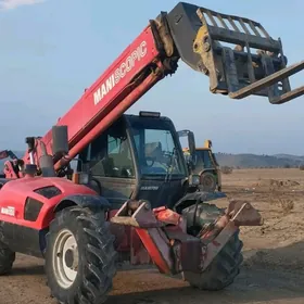 JCB Polemaster Plus 2010