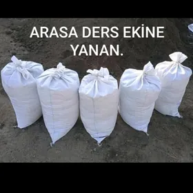 ZIL WE HALTA YANAN DERS MITI