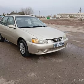 Toyota Corolla 2000