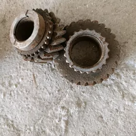 uaz karopga sestyrna