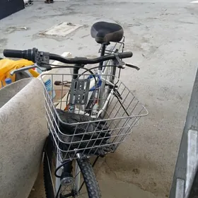 tigir 26 lyk skortly