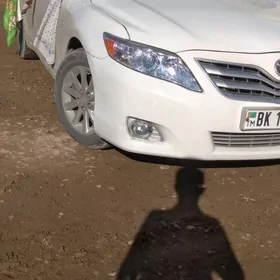 cyralar bufer ablasowkasy