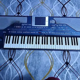 korg pa 800