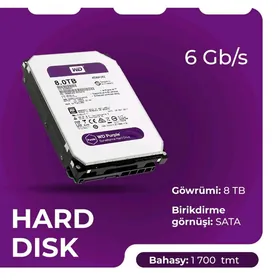 8 Tb Žostkiý disk