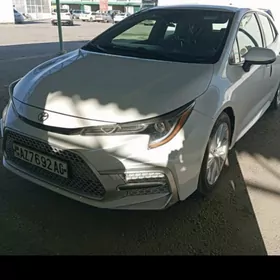 Toyota Corolla Hatchback 2020