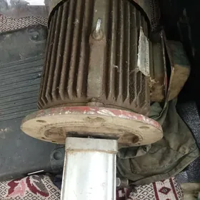 Elektra mator 4. kl 1500 ab