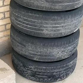 18 lik Sıýenañ disgasy