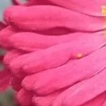 Öýe kömekçi Aýal gerek.