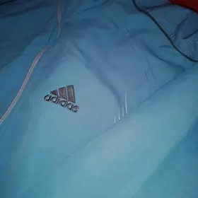 switer,köynek,jynsy jalbar