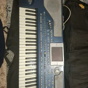 korg pa 800