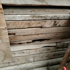 Tagta тагта SATLYK