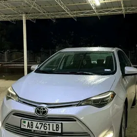 Toyota Corolla 2019
