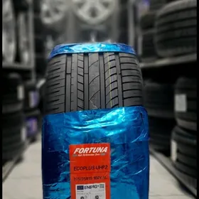 FORTUNA 25YYL 2753519 2ST