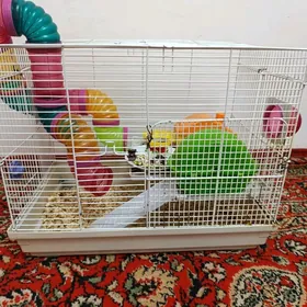 клетка большая