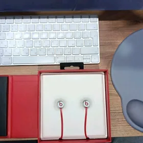 Nauşnik Beats by Dr. Dre