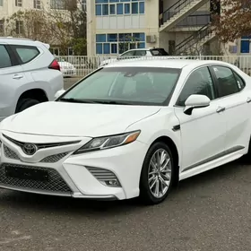 Toyota Camry 2019