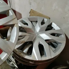 17 R gara  disga kalpak