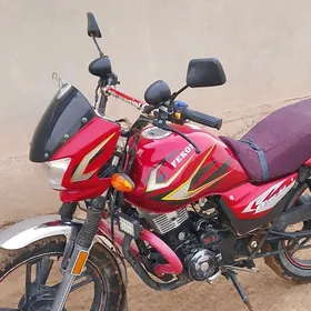 Fekon FK200-14G 2025