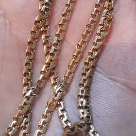 гызыл кардынал