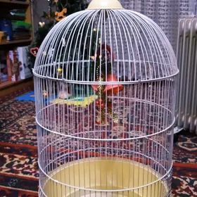 Клетка для попугаев