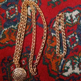 585 probaly kardinal