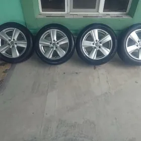 diska pakryska 17lik