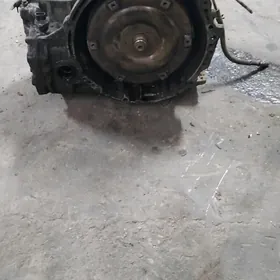 afdamaf karopga  2lik matorynk