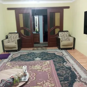 ceremuska satlyk jay