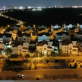 Mollanepes Elitka 3 kom