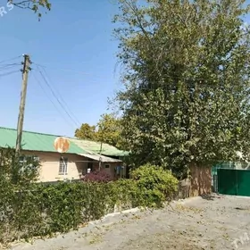 Anew plan jay satlyk