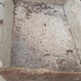 Karita/Карита. Galyp sement un