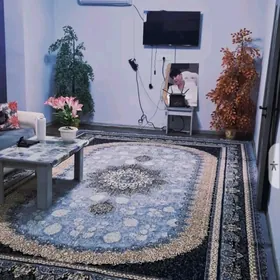 Сатлык Жай Гысаглы