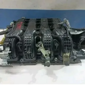 pauk, kollektor, паук