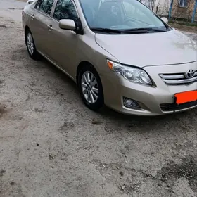 Toyota Corolla 2010