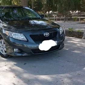 Toyota Corolla 2010
