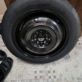 karolla zapaska taze